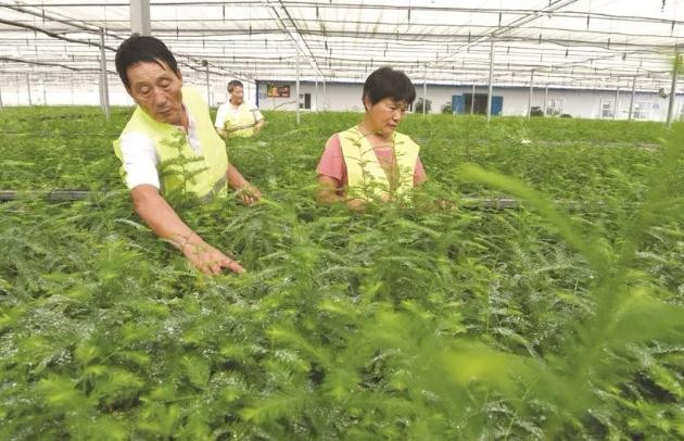 油煙凈化器，油煙凈化設(shè)備，油煙凈化機(jī)
