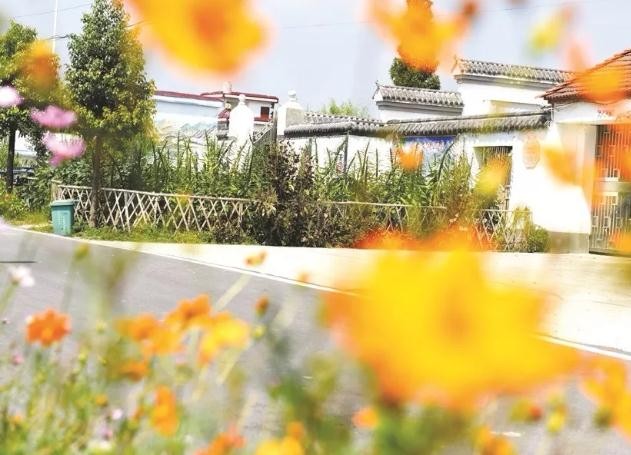 油煙凈化器，油煙凈化設(shè)備，油煙凈化機(jī)