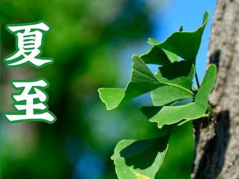 油煙凈化器，油煙凈化設(shè)備，油煙凈化機(jī)